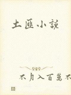 土匪小说