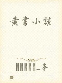 黄书小说