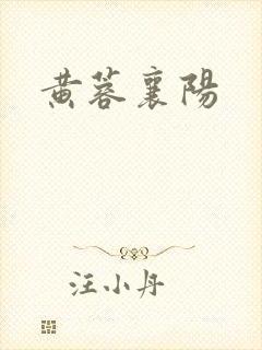 黄蓉襄阳