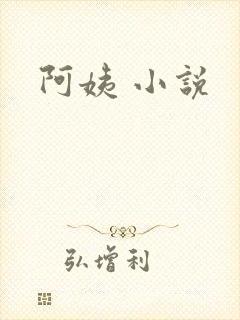 阿姨 小说