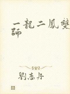 一龙二凤双飞老师封面