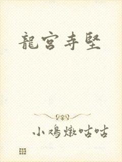 龙宫寺坚封面