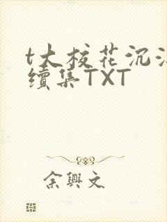 t大校花沉浮录续集TXT