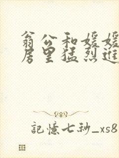翁公和媛媛在厨房里猛烈进出