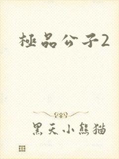极品公子2封面