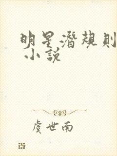 明星潜规则之皇 小说