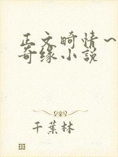 正文畸情～内裤奇缘小说封面