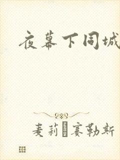 夜幕下同城网封面