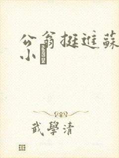 公翁挺进苏玥的小泬