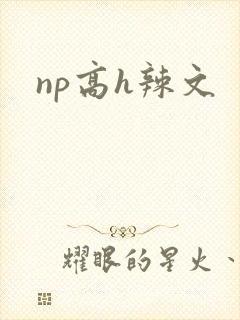 np高h辣文