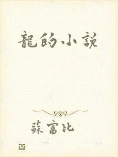 龙的小说
