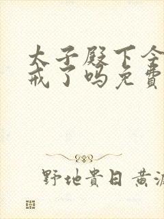 太子殿下今天破戒了吗免费阅读封面