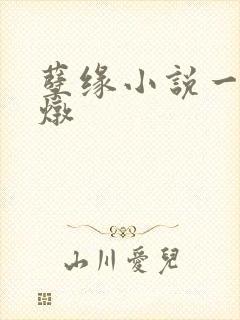 孽缘小说一家乱炖