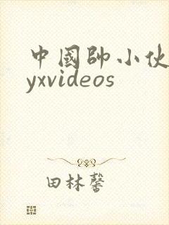 中国帅小伙gayxvideos封面