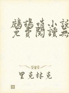 鹧鸪哨小说网站免费阅读无弹窗封面