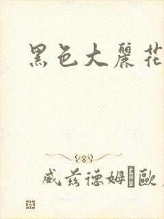 黑色大丽花图片封面