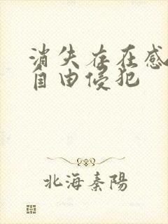 消失存在感消失自由侵犯