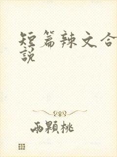 短篇辣文合集小说