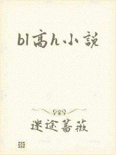 bl高h小说
