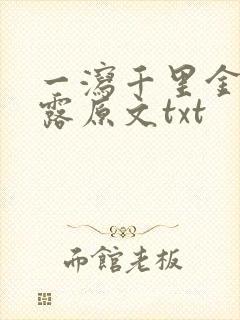 一泻千里金银花露原文txt