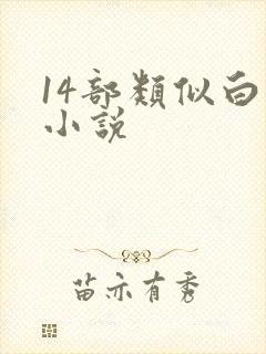 14部类似白洁小说封面
