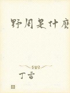 野周是什么意思封面
