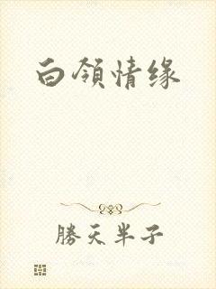 白领情缘