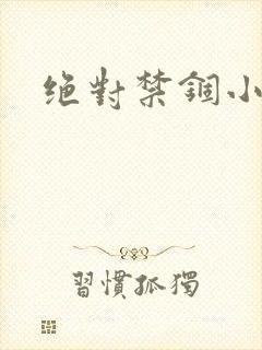 绝对禁锢小说封面