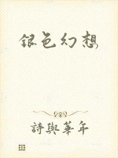 银色幻想封面