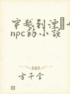 穿越到湮婸世界npc的小说