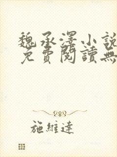 魏承泽小说全文免费阅读无弹窗笔趣