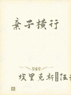 弃子横行封面
