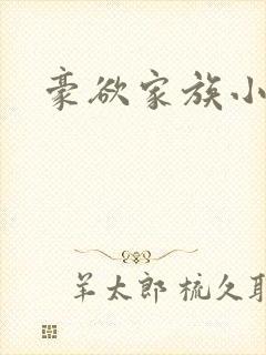 豪欲家族小说