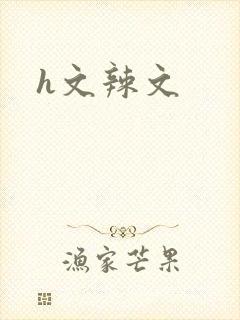 h文辣文封面