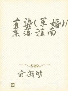 有染(军婚)/叶落淮南封面