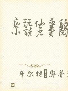 亵玩仙尊的道侣小说免费阅读