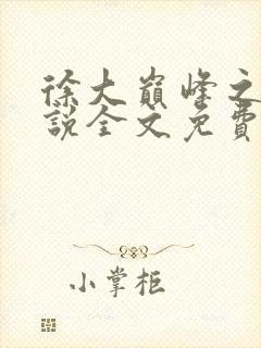 徐大巅峰之路小说全文免费阅读封面