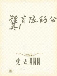 体育队的公用玩具1