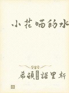 小花喵的水蜜桃封面