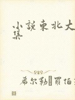 小说东北大炕全集