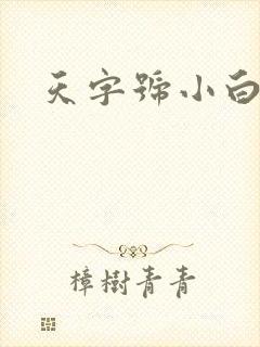 天字号小白脸