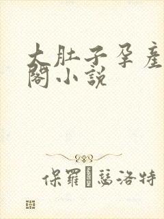 大肚子孕产笔趣阁小说