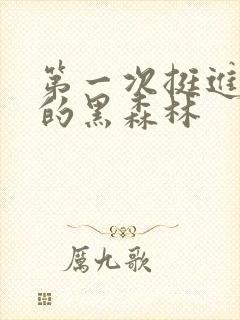 第一次挺进麻麻的黑森林封面