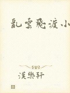 乱云飞渡小说
