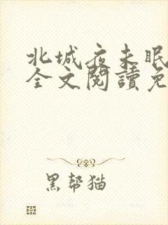 北城夜未眠小说全文阅读免费