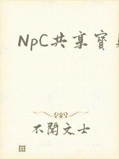 NpC共享宝贝
