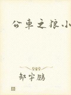 公车之狼小说封面