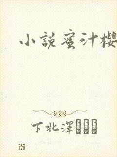 小说蜜汁樱桃