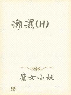 潮湿(H)