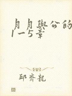 月月与公的激情1一5章